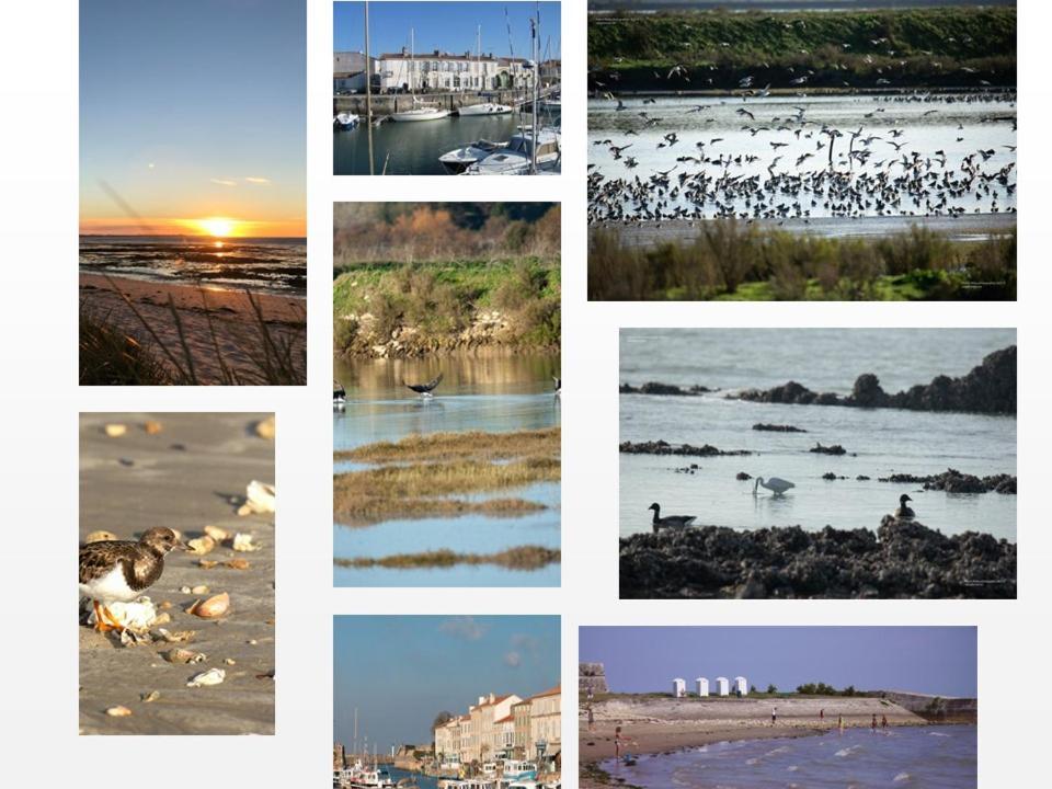 Ile De Re, La Danae, Velos, Wifi, Possibilite Cuisine, Linge, Parking Gratuit Saint-Martin-de-Re Luaran gambar
